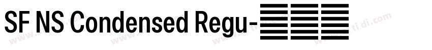 SF NS Condensed Regu字体转换